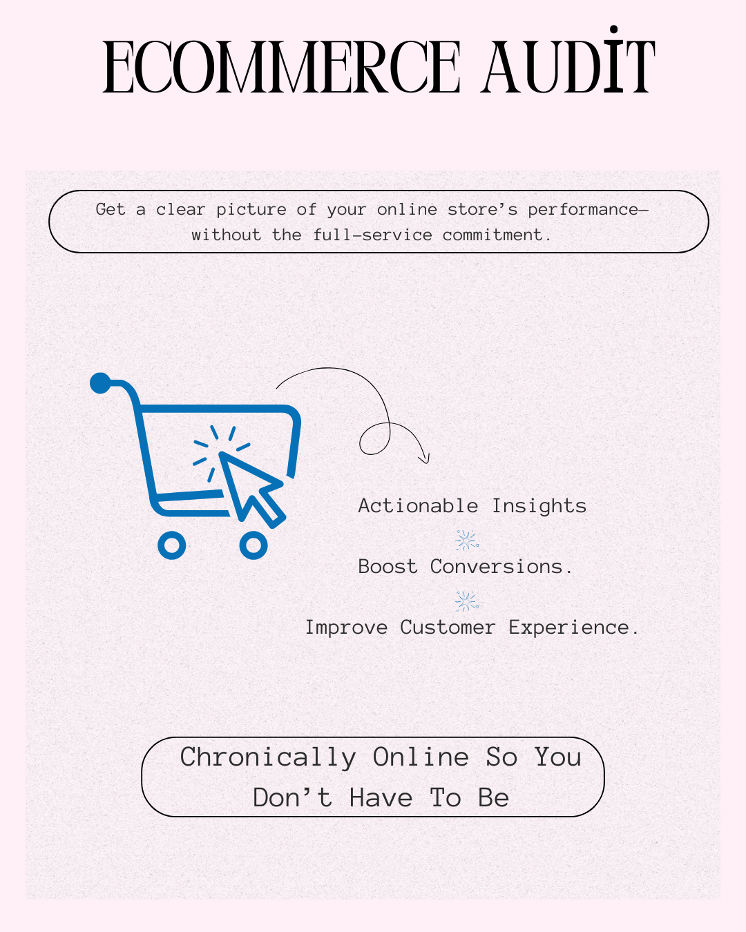 Ecommerce Audit